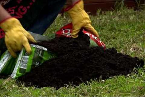 How To Top Dress &amp; Aerate Your Lawn - D.I.Y. At Bunnings