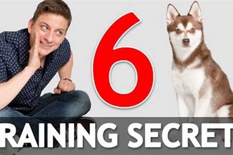 6 Dog Training Secrets in 5 Minutes!