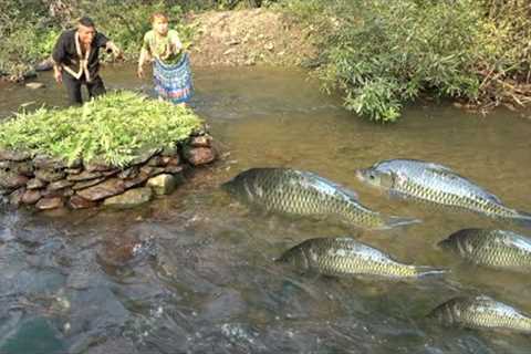 Survival Skills: Build Camouflage Trap To Catch Fish - Catch A Lot Of Fish