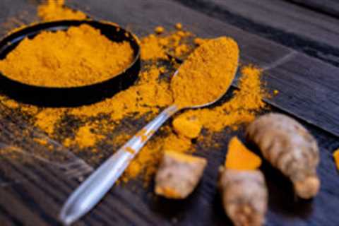 10 Choices For The Best Turmeric For Dogs