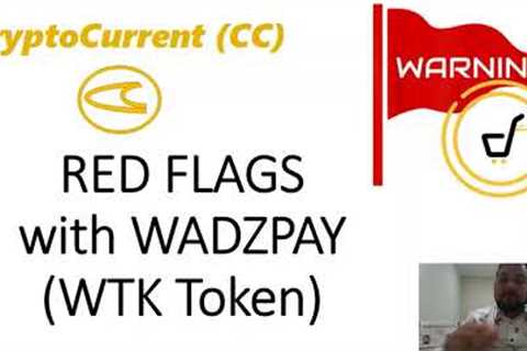 RED FLAGS with WadzPay (WTK) token - is it a RUGPULL?