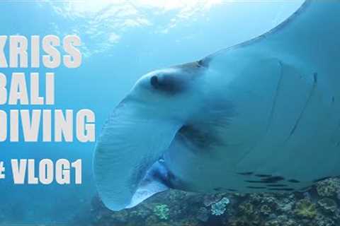 SCUBA DIVING IN BALI |Dive Trip to Manta Point at Nusa Penida Island.