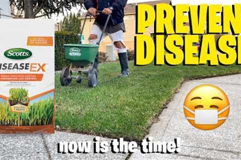 Scotts disease ex fungus control! Early Spring application for your lawn!