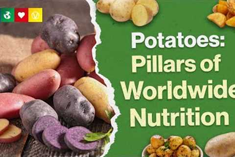 Potatoes - A Miracle Of Nutrition?
