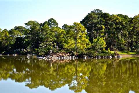 Morikami Gardens: Beautiful Japanese Gardens in Florida