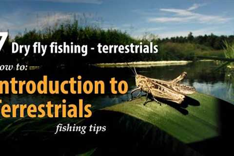 How to • Dry fly fishing - Terrestrials • Introduction • fishing tips