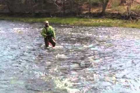 A Beginners Guide To Wet Fly Fishing, Holsinger's Fly Shop