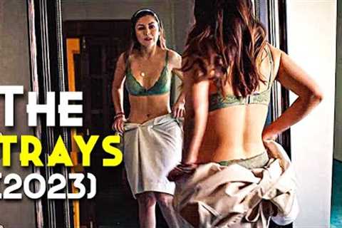 Best Netflix Thriller/Horror | This Movie Will Blow Your Mind | The Strays (2023) Explained In Hindi