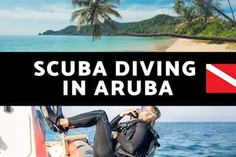 Scuba Diving in Aruba - The Top Ten Dive Spots