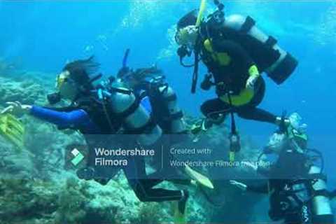 Key Largo Scuba Diving Trip total