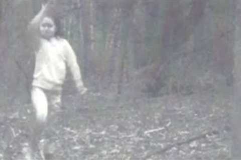TRAIL CAM CAPTURES A MYSTERY THAT'S FINALLY SOLVED.