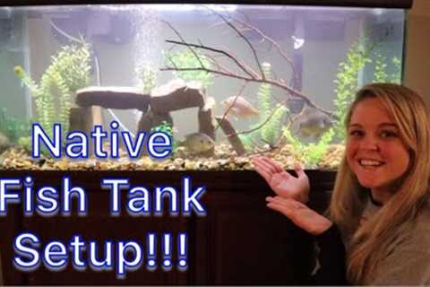 Setting Up a NATIVE FRESHWATER FISH Aquarium!!!!
