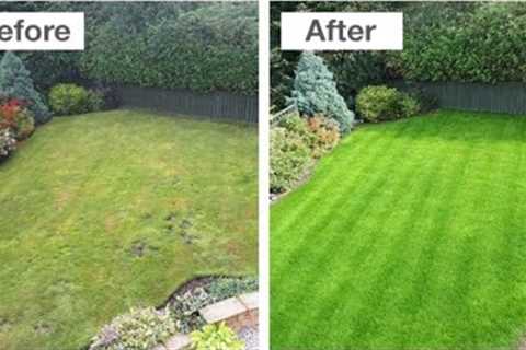 Lawn Grass Care For Lush Green Look. How To Get Carpet Grass. Best Fertilizer For Grass