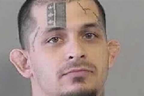Homeowner Defends Family with Machete During Terrifying Home Invasion: Police