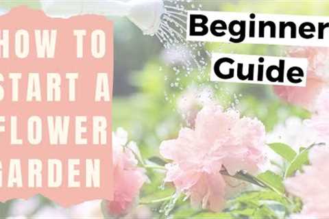How to Start a Flower Garden for Beginners - Home Gardening for Beginners Flowers