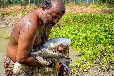 Fish Catching,Cutting and Cooking - Village Food Cooking - Village Fishing
