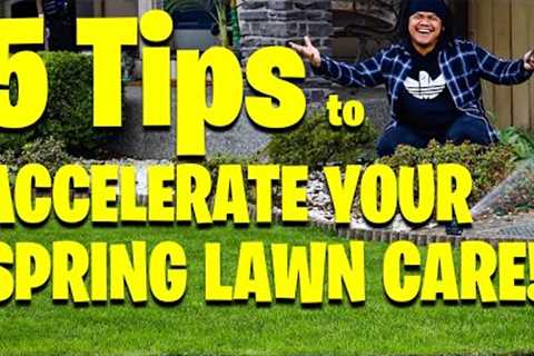 5 Tips to accelerate your SPRING Lawn Care!