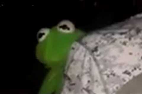 try not to die laughing 💀 4