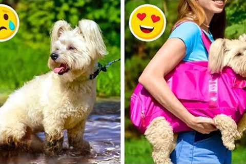 BEST GADGETS TO MAKE YOUR PETS HAPPY