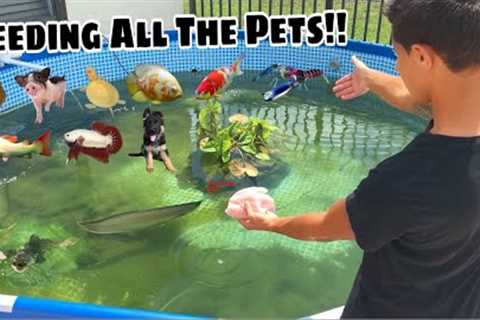 Feeding ALL the EXOTIC PETS!!