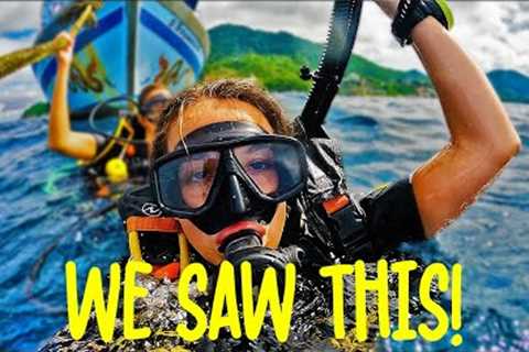 SCUBA DIVING in KOH TAO - I can’t believe we swam with this!