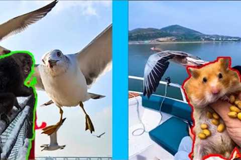 Unbelievable Friendship Human And Animals
