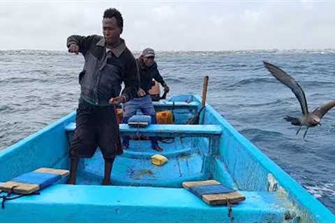 TUNA FISH CATCHING SKILLS IN INDIAN OCEAN SEA AMAZING FISHING VIDEOS