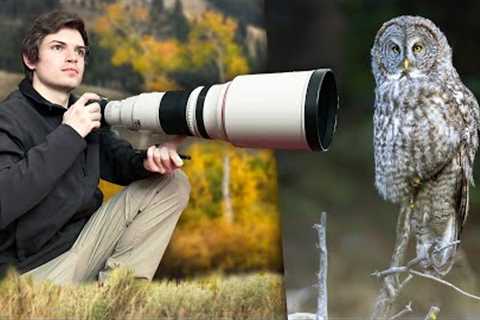 I Spent Autumn Photographing Wildlife in Yellowstone