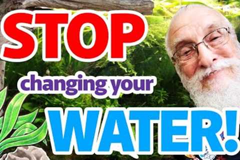 WHEN SHOULD I CHANGE MY AQUARIUM WATER? | CHANGING AQUARIUM WATER EXPLAINED