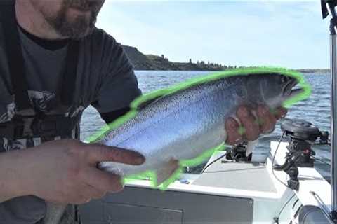 Trout Fishing, Rock Lake, Washington.