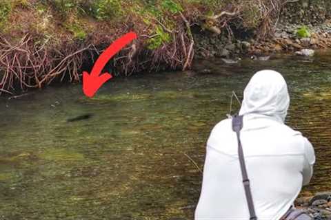 FLY FISHING For SUPER Spooky TROUT in CLEAR Water! 4K [New Zealand]