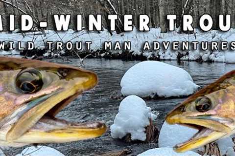 Fly Fishing For Mid-Winter Pennsylvania Trout (STREAMERS)