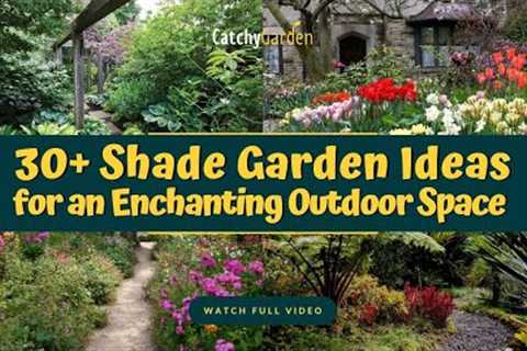 30+ Shade Garden Ideas for an Enchanting Outdoor Space 🌸🌳 // Gardening Ideas