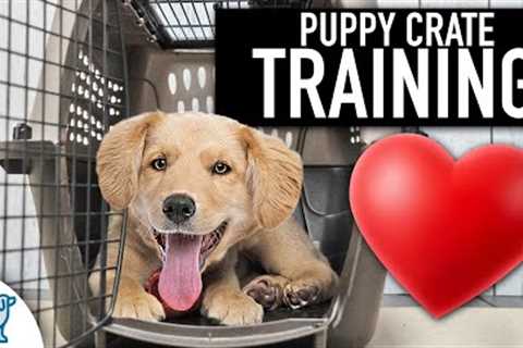 Crate Training Doesn't Need To Be Stressful!