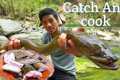 Catching the Freshwater eel {catch and cook} Eat in Naga style || Jungle infinity