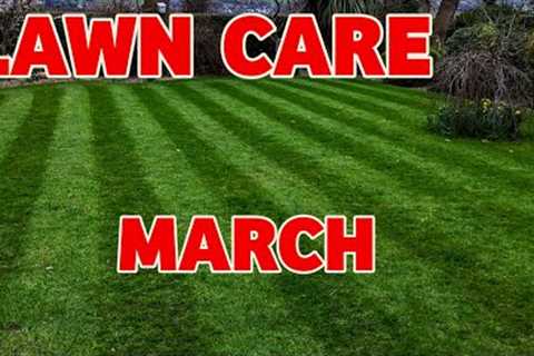 The EASIEST way to get a green lawn this spring .....And it is CHEAP !