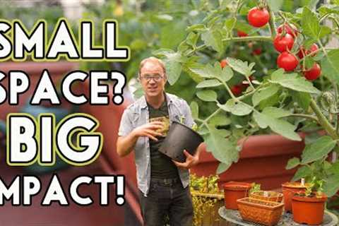 Cheap and Easy Container Gardening: Step by Step