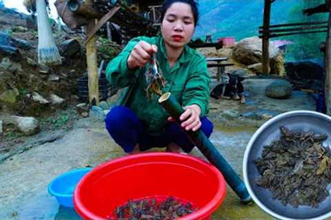 cook the best frogs for my family, the kids love to eat them | Vietnamese village food