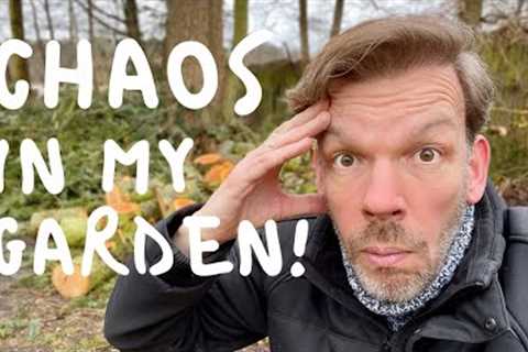 Renovating an abandoned Tiny House #83: Chaos in my garden!