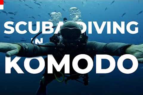 Scuba Diving in Komodo: Is it Better Than Bali?