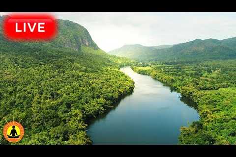 🔴 Relaxing Music 24/7, Stress Relief Music, Sleep Music, Meditation Music, Calming Music, River