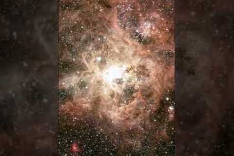 Zoom Into the Tarantula Nebula | James Webb Telescope