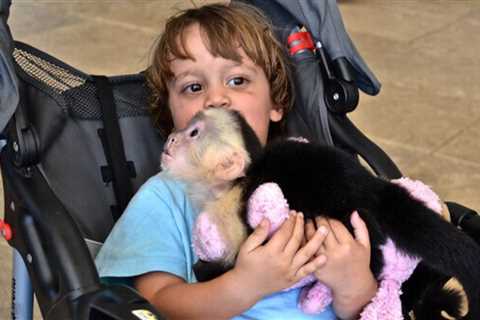 Jungle Island Zoo, Miami FL: Information and Things to Do - More than a Zoo