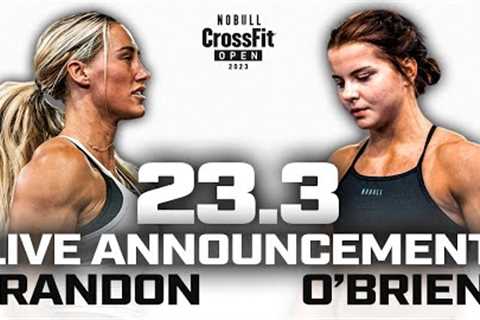 Rough Cut: 23.3 Live Announcement — O’Brien vs. Brandon