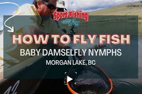 FLY FISHING: BABY DAMSELFLY NYMPHS