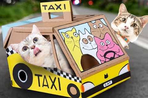 DIY Cat Carrier - Cardboard Carry Cage Taxi! | Easy Craft Projects &amp; Art Ideas
