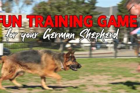 German Shepherd Training Game - make Obedience Fun for your DOG