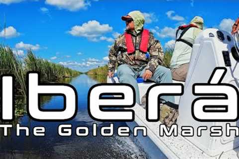 Iberá The Golden Marsh | Golden Dorado Fly Fishing in Argentina