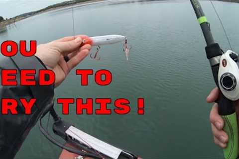 Best lures for schooling bass! Topwater action on Canyon Lake! (Fishing with new Sub)