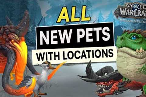 ALL New Hunter PETS &amp; Where To Get Them! WoW: Dragonflight - Lesser Dragonkin Taming &amp; Many ..